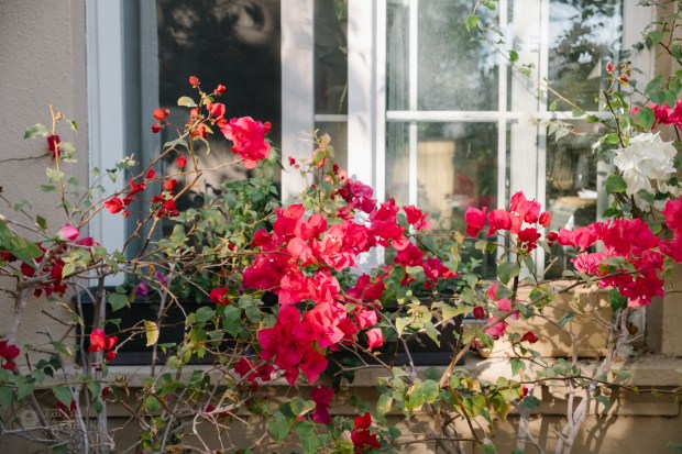 How Spending Time Outdoors Reduces&nbsp;Stress.