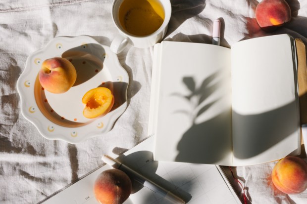 Journaling. The book and the&nbsp;process.