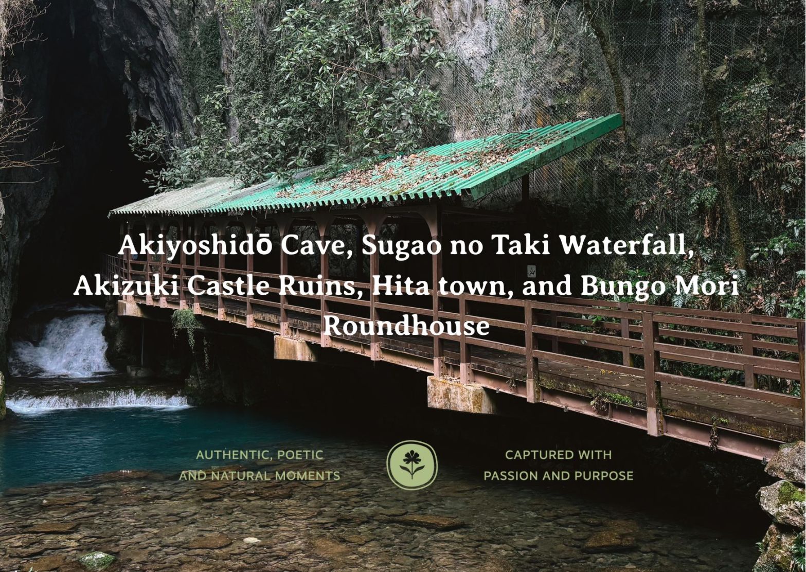 Part 3. Exploring Kyushu: A Family Adventure Through Nature and&nbsp;Culture