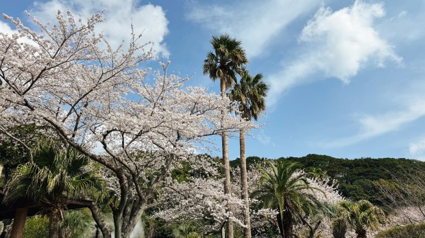 Part 1. The beginning of our family trip to&nbsp;Japan